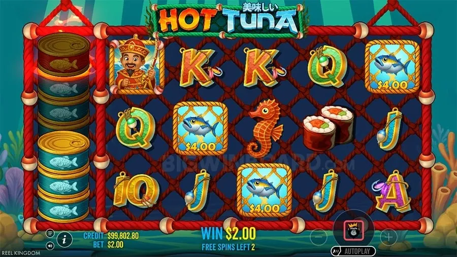 Online Sports Betting at 8k8 Casino